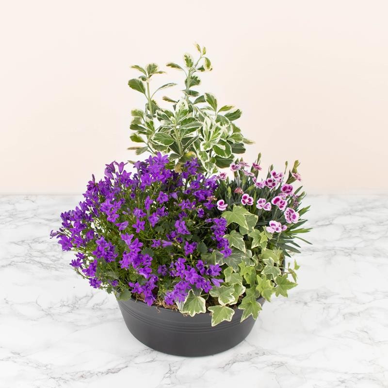 COUPE DE PLANTES AVEC VOUS