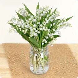 BOUQUET DE MUGUET