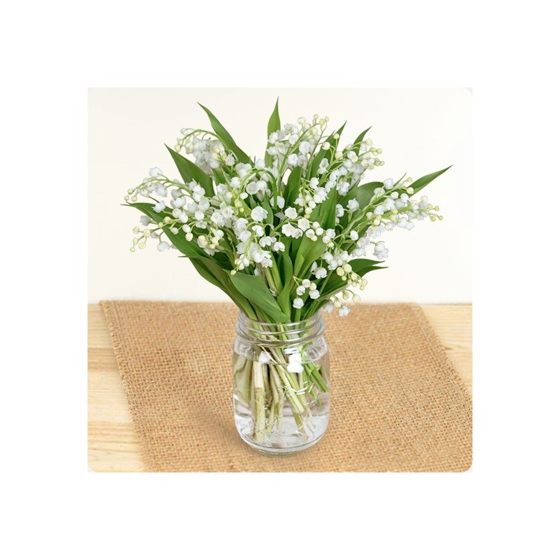 BOUQUET DE MUGUET