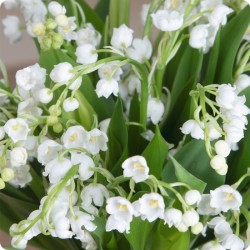 BOUQUET DE MUGUET